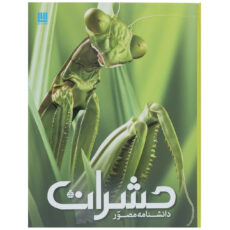 کتاب دانشنامه مصور حشرات اثر لارنس ماوند