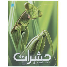 کتاب دانشنامه مصور حشرات اثر لارنس ماوند
