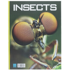 کتاب دانشنامه مصور حشرات اثر لارنس ماوند