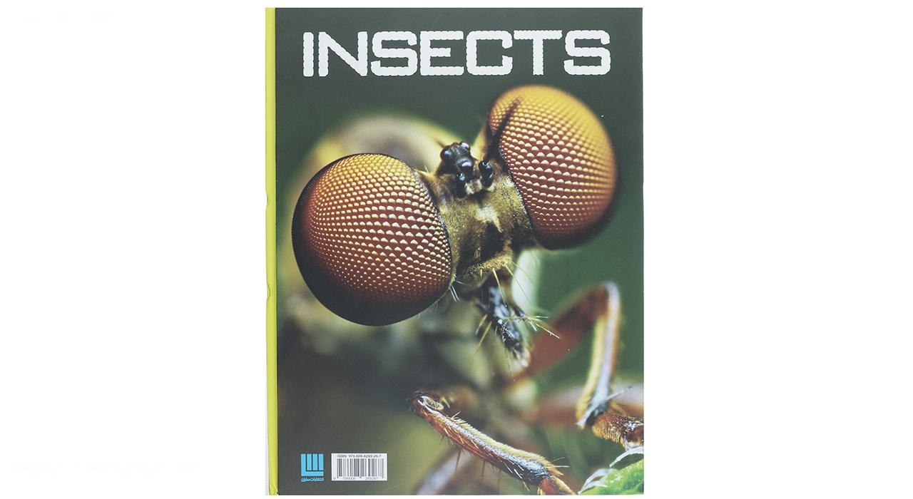 کتاب دانشنامه مصور حشرات اثر لارنس ماوند