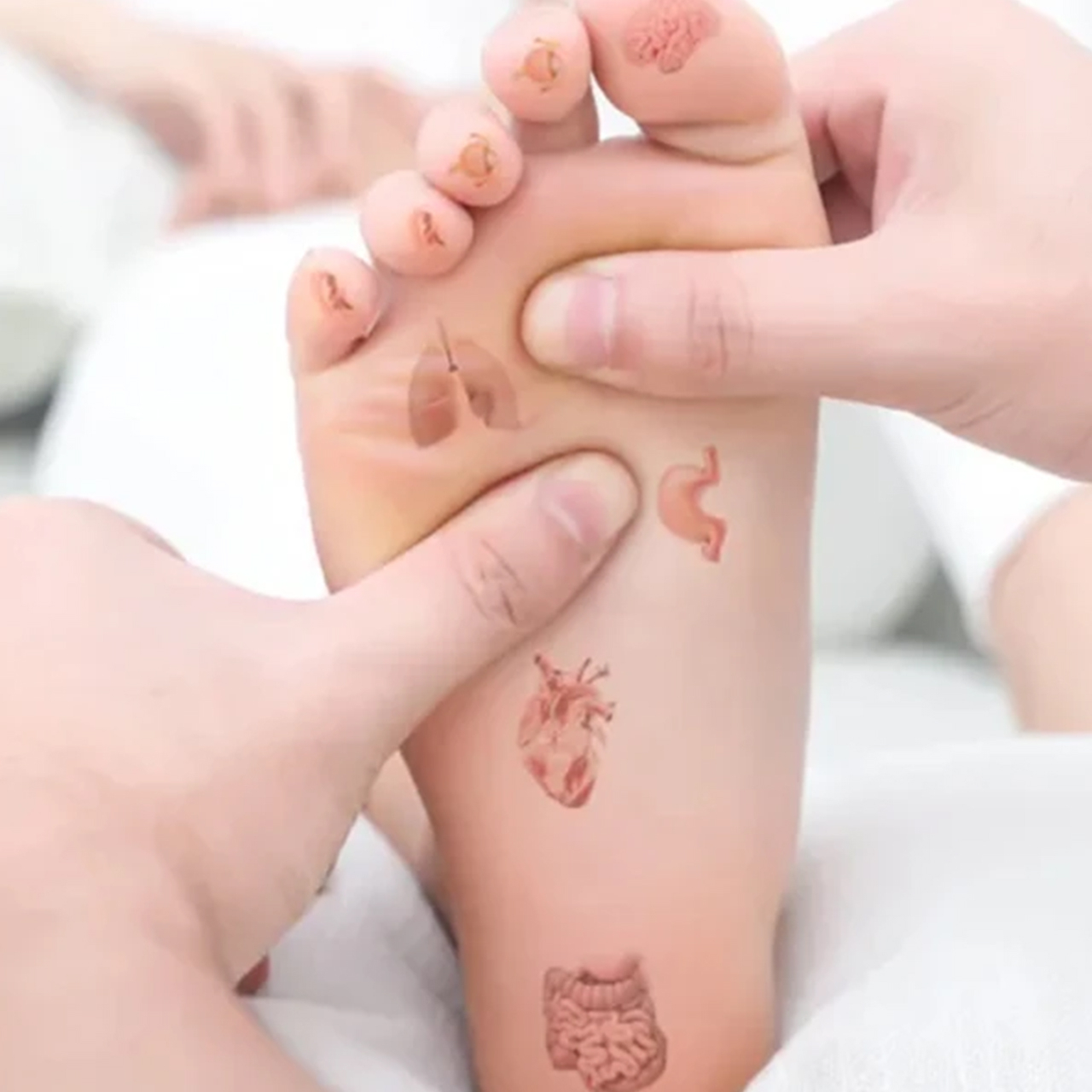 ماساژور برقی مدل EMS کد FM-RIMO