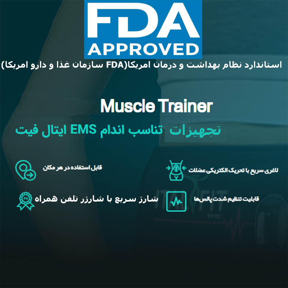 ماساژور برقی ایتال فیت مدل muscle-training