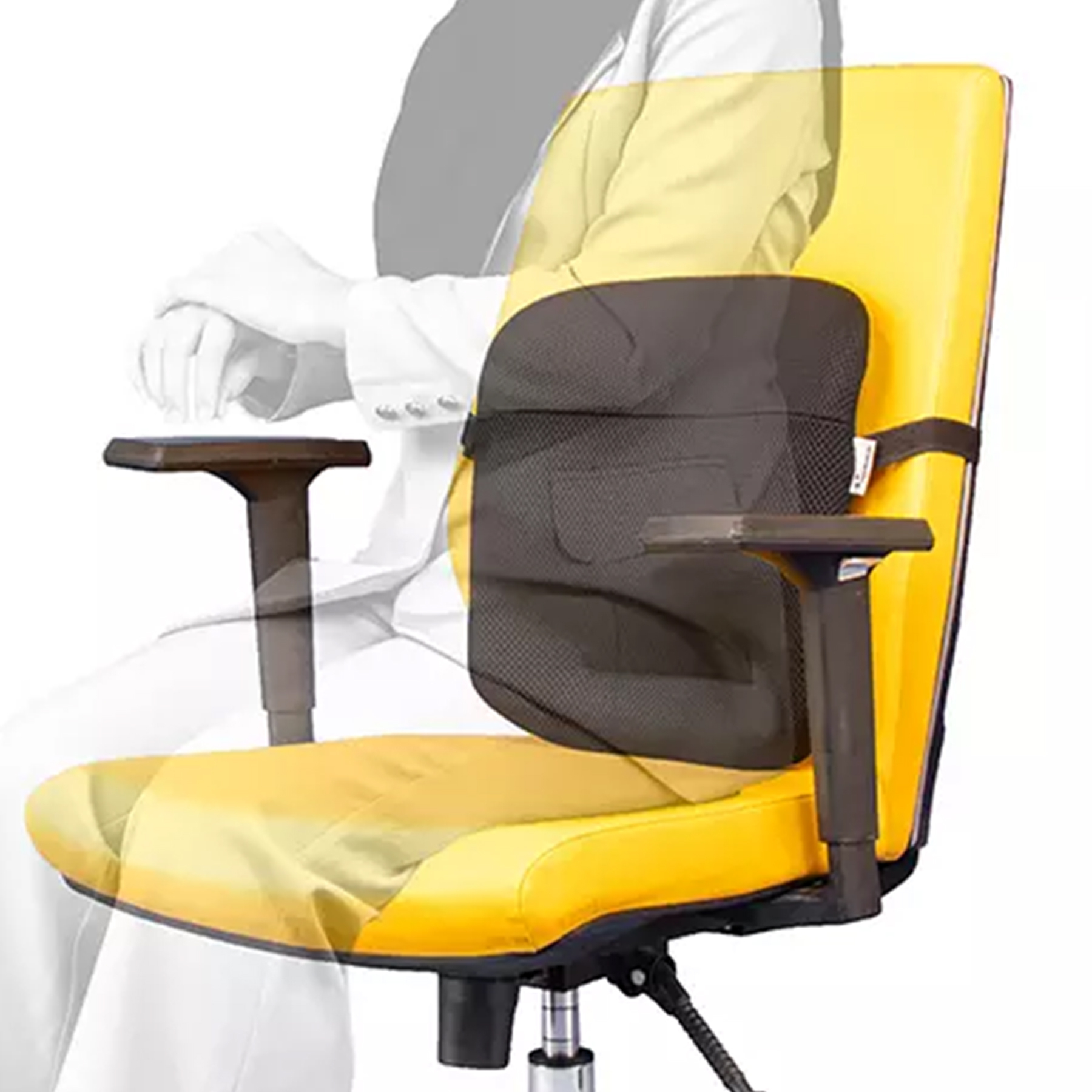 پشتی کمری طبی باراد مدل LS1