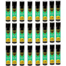 اسپری حشره کش گرین ورد مدل Flying Insect Killer حجم 400 میلی لیتر مجموعه 24 عددی