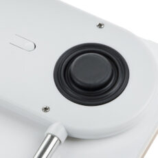 ترازو دیجیتال هایتک مدل HI-DS42-M