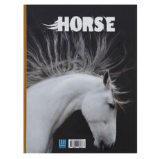 کتاب دانشنامه مصور دنیای شگفت انگیز اسب اثر جولیت کلاتن براک