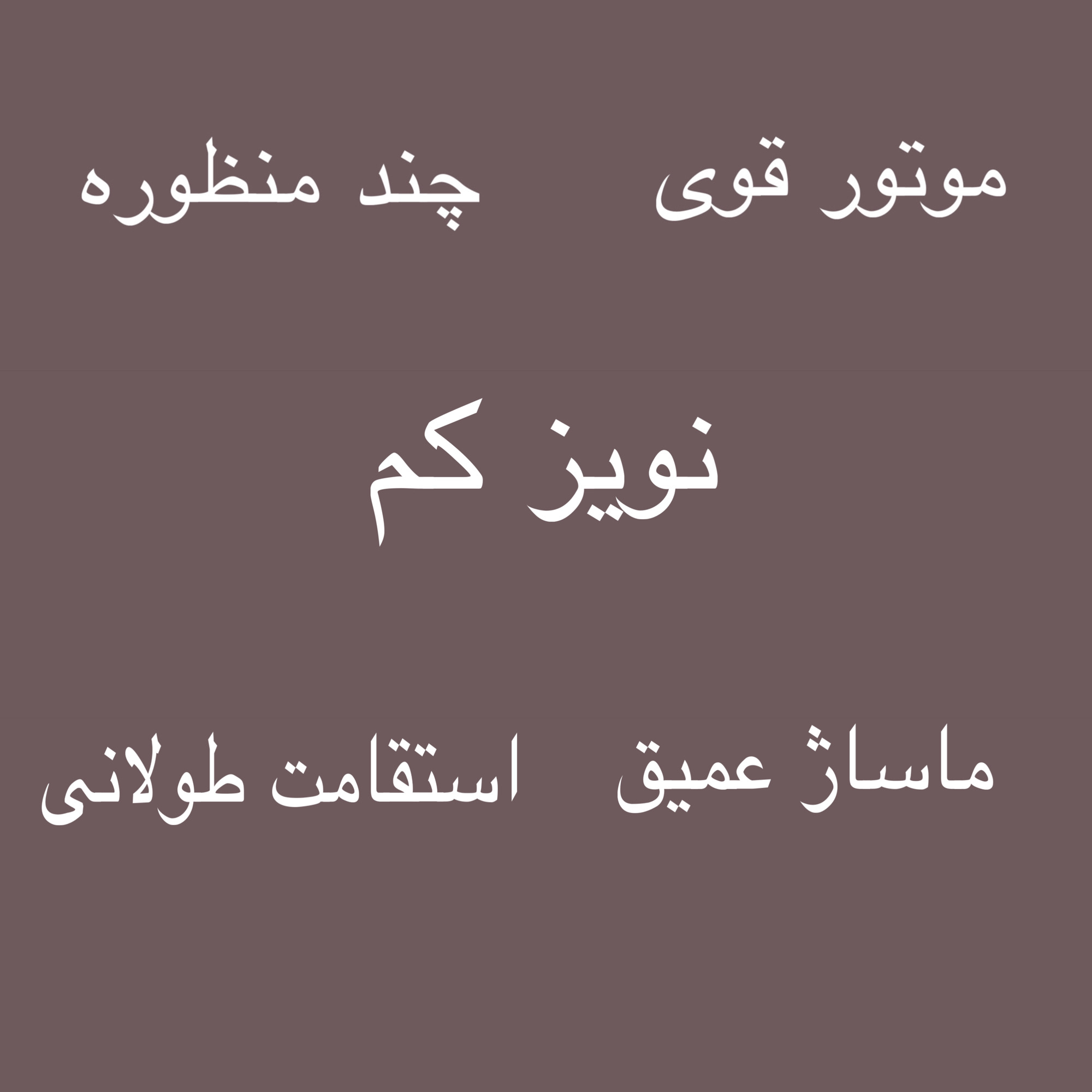 ماساژور برقی مدل SL-730