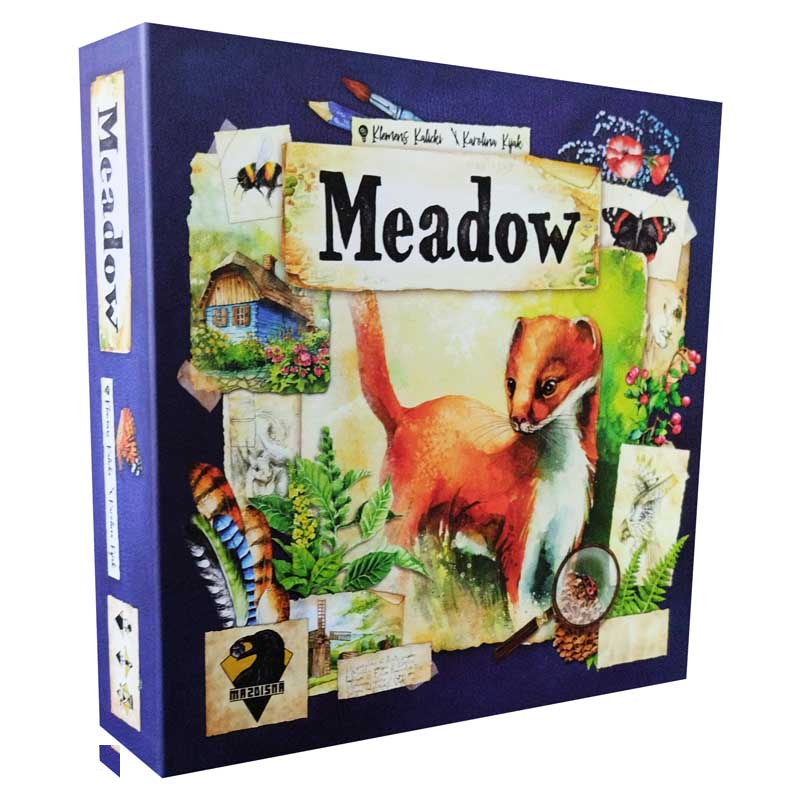 بازی فکری مدل مدو چمنزار