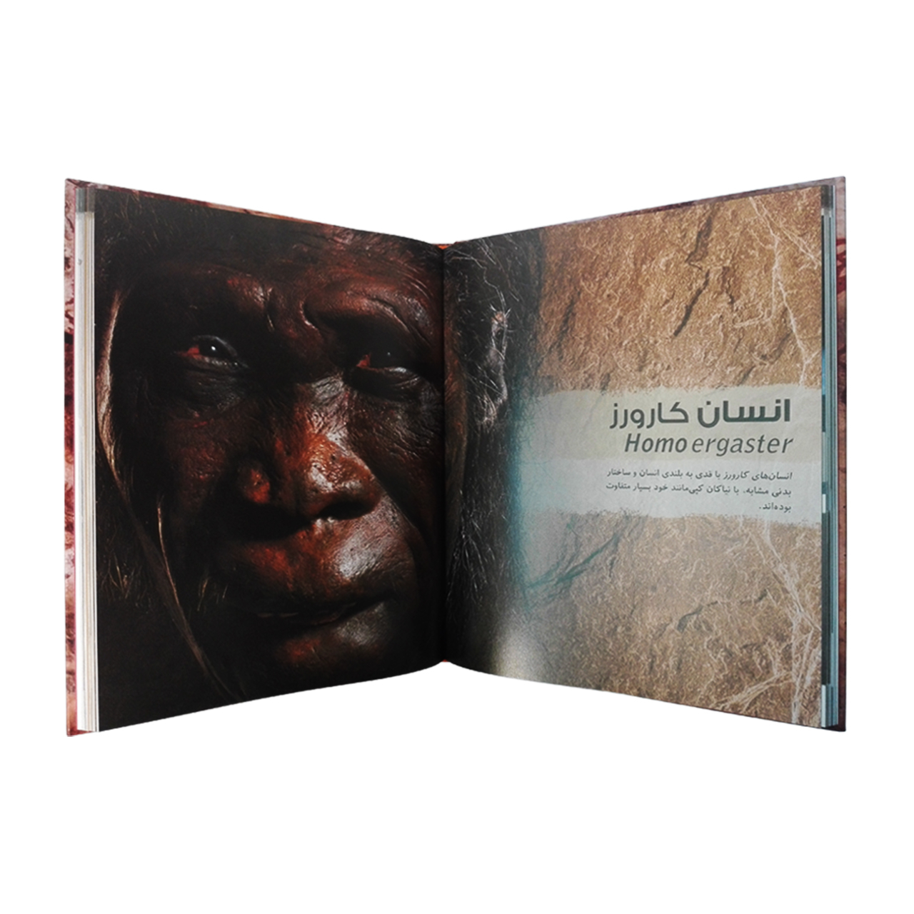 کتاب دایره المعارف مصور انسان تباران اثر آلیس رابرتز نشر سایان
