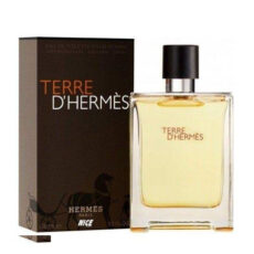 ادوپرفیوم مردانه نایس پاپت مدل تق هرمس حجم 100 میلی لیتر