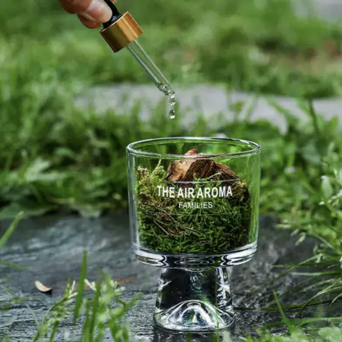 خوشبو کننده مدل خزه رایحه گلی جنگلی حجم ۱۰ میلی لیتر