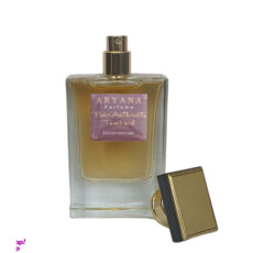 ادوپرفیوم مردانه آریانا مدل Tom Ford Noir Anthracite