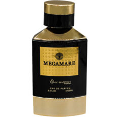 ادوپرفیوم ری بارتون مدل مگاماره حجم 100 میلی لیتر