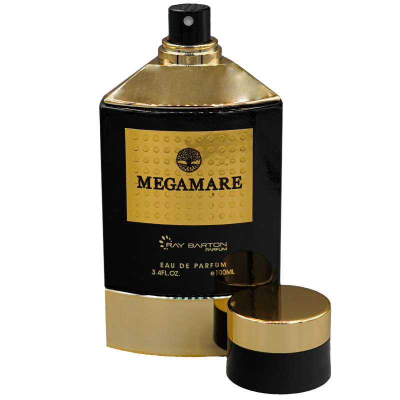 ادوپرفیوم ری بارتون مدل مگاماره حجم 100 میلی لیتر