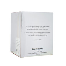 ادوپرفیوم زنانه اسکلاره مدل Poison Girl Dior حجم 100 میلی لیتر