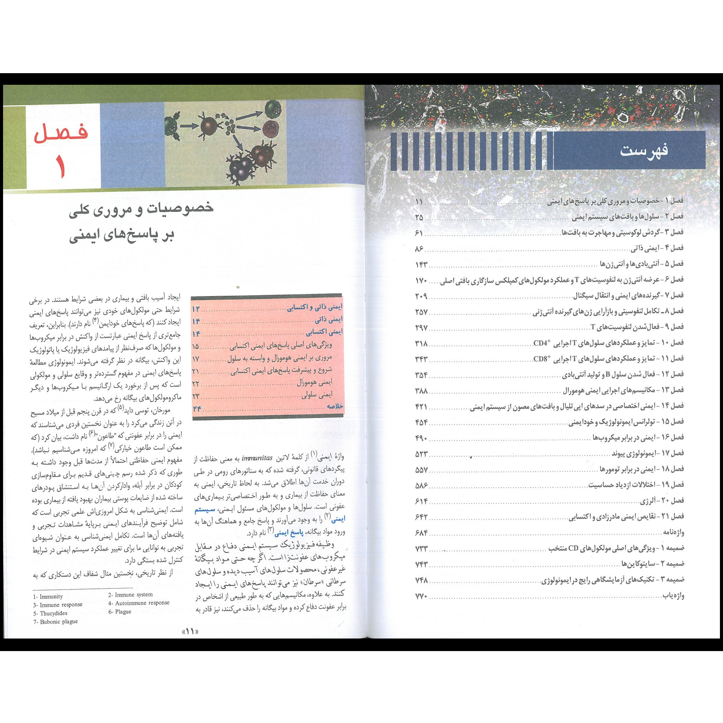 کتاب ایمونولوژی سلولی و مولکولی ابوالعباس 2022 اثر دکتر علی اکبر امیر زرگر انتشارات اندیشه رفیع