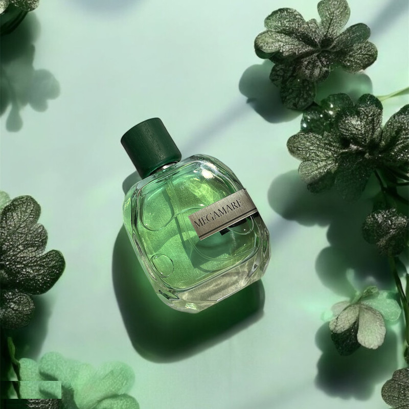 ادوپرفیوم مردانه کلپک مدل مگاماره اورتو پاریسی حجم ۱۰۰ میلی لیتر