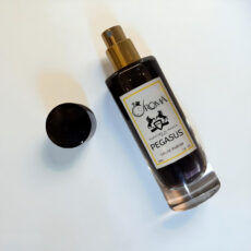 ادکلن آروما مدل مارلی پگاسوس حجم 30 میلی لیتر