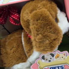 عروسک ناب سل مدل سگ پولیشی قلاده دار موزیکال جعبه دار Polish collared dog NAAB003 ارتفاع 15 سانتی متر