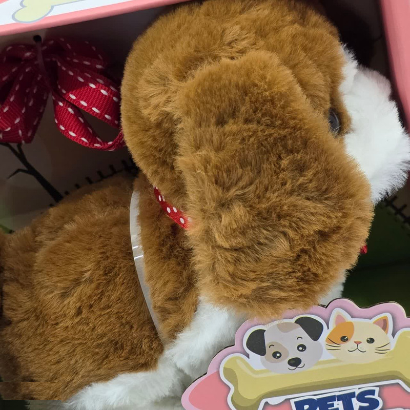 عروسک ناب سل مدل سگ پولیشی قلاده دار موزیکال جعبه دار Polish collared dog NAAB003 ارتفاع 15 سانتی متر