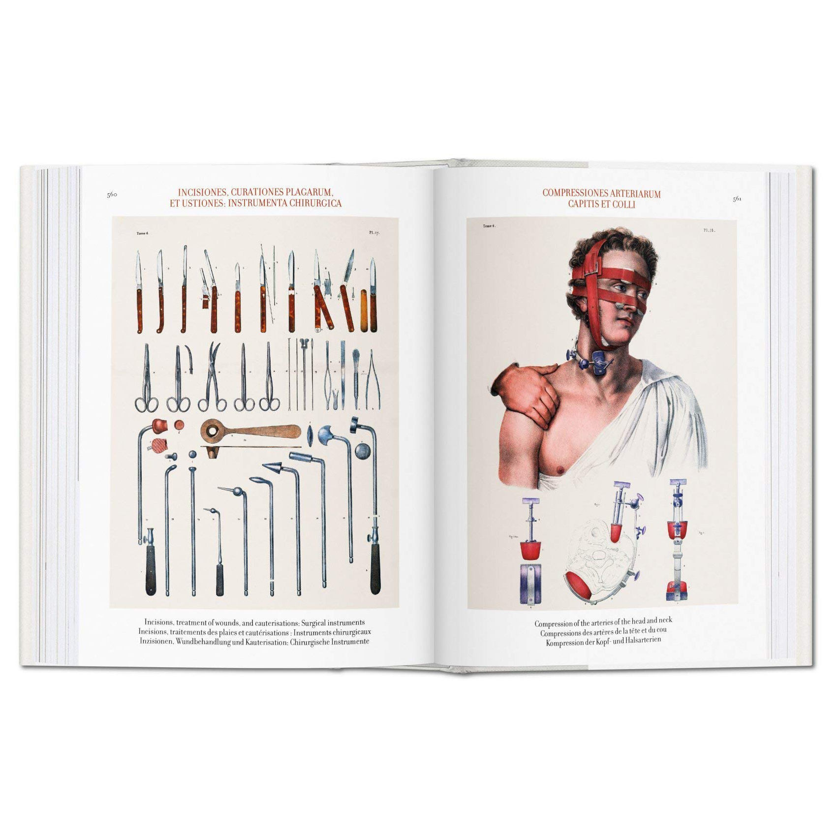 کتاب Bourgery. Atlas of Human Anatomy and Surgery اثر Jean-Marie Le Minor
انتشارات تاشن