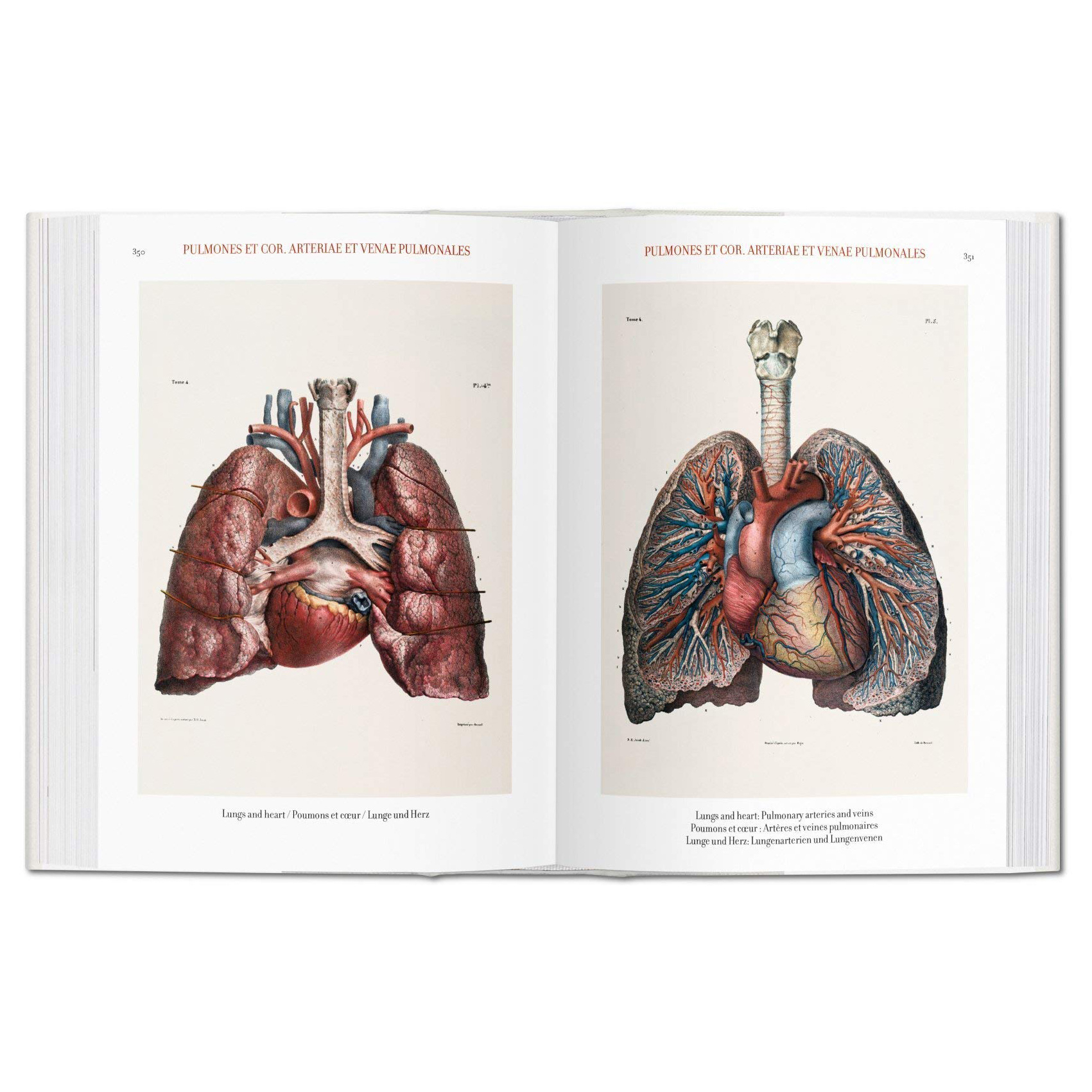 کتاب Bourgery. Atlas of Human Anatomy and Surgery اثر Jean-Marie Le Minor
انتشارات تاشن