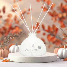 خوشبوکننده هوا مدل AUTUMN حجم 250 میلی لیتر