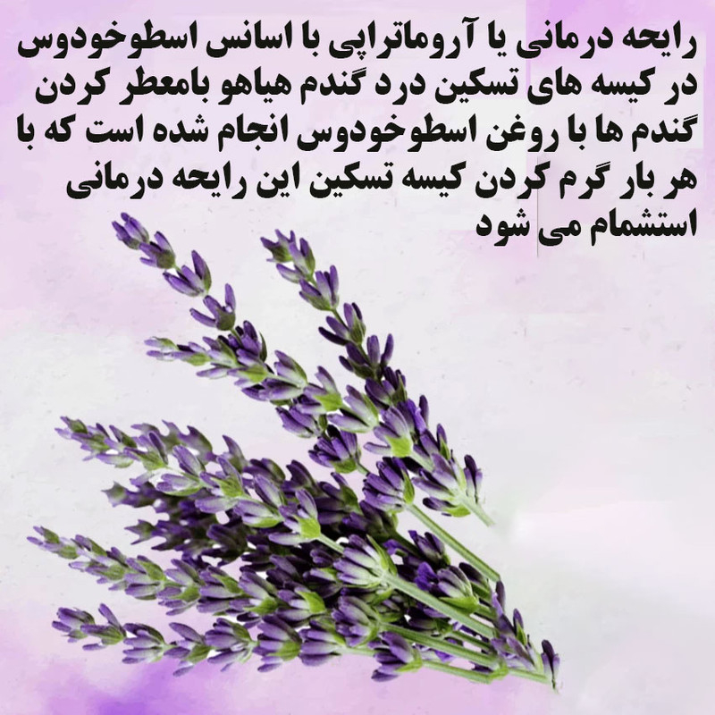 کیسه تسکین درد هیاهو مدل آروماتراپی اسانس اسطوخودوس کد Wheat-43x33-8