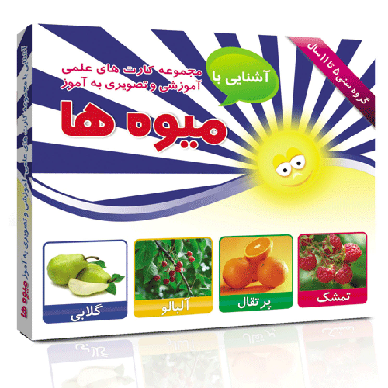 فلش کارت های آموزشی و تصویری دوره ابتدایی انتشارات امین آذر مجموعه 50 عددی