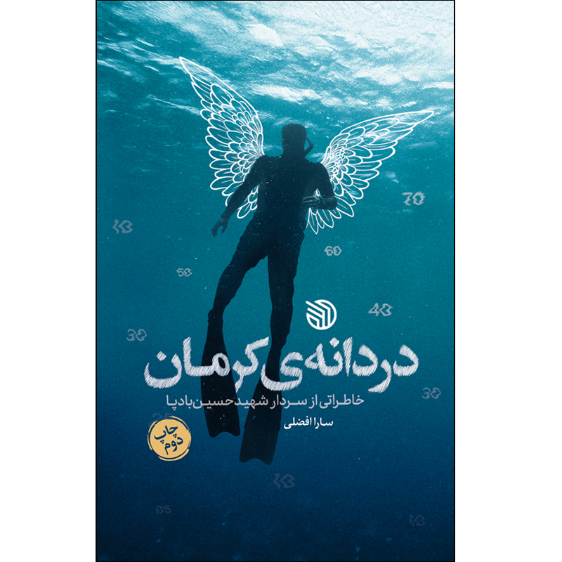 کتاب دردانه‌ی کرمان اثر سارا افضلی انتشارات خط مقدم