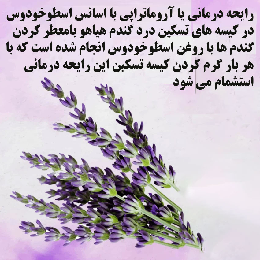 کیسه تسکین درد هیاهو مدل آروماتراپی اسانس اسطوخودوس کد Wheat-25x20