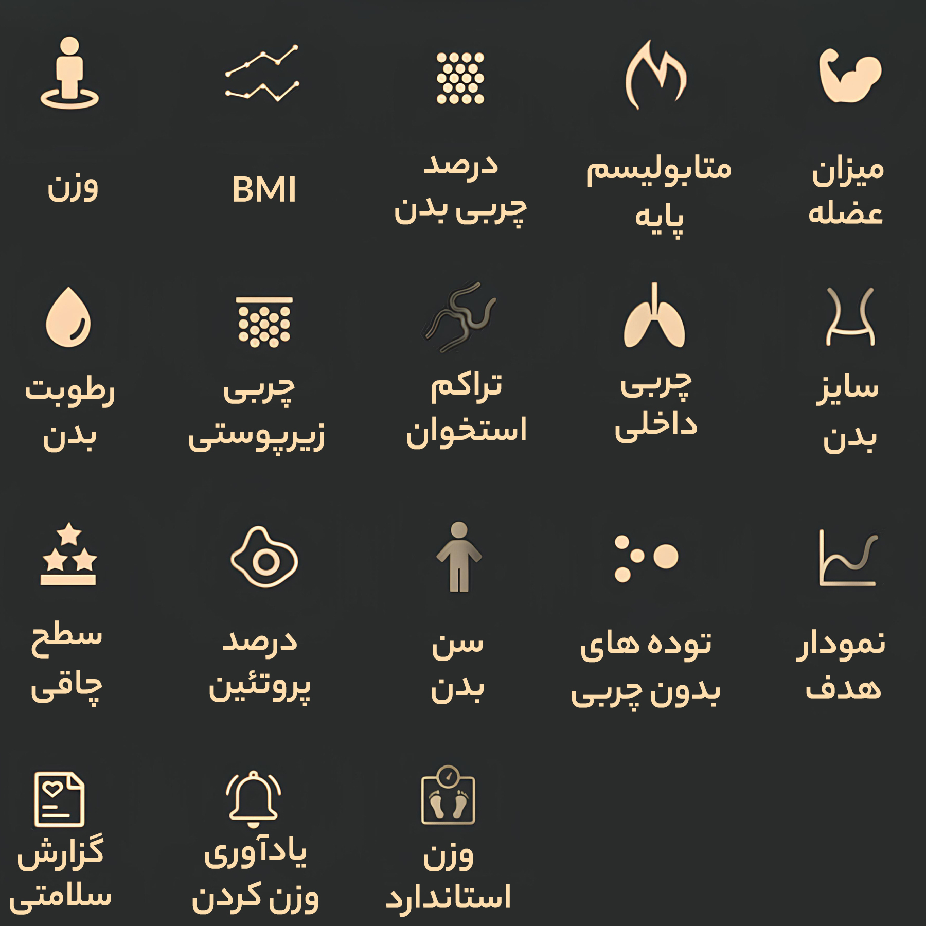 ترازو دیجیتال هایلو مدل CM01