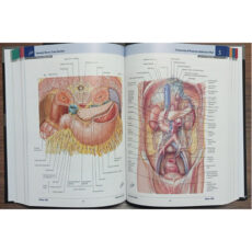 کتاب Netter Atlas of Human Anatomy 8th Edition اثر Frank Netter انتشارات الزویر