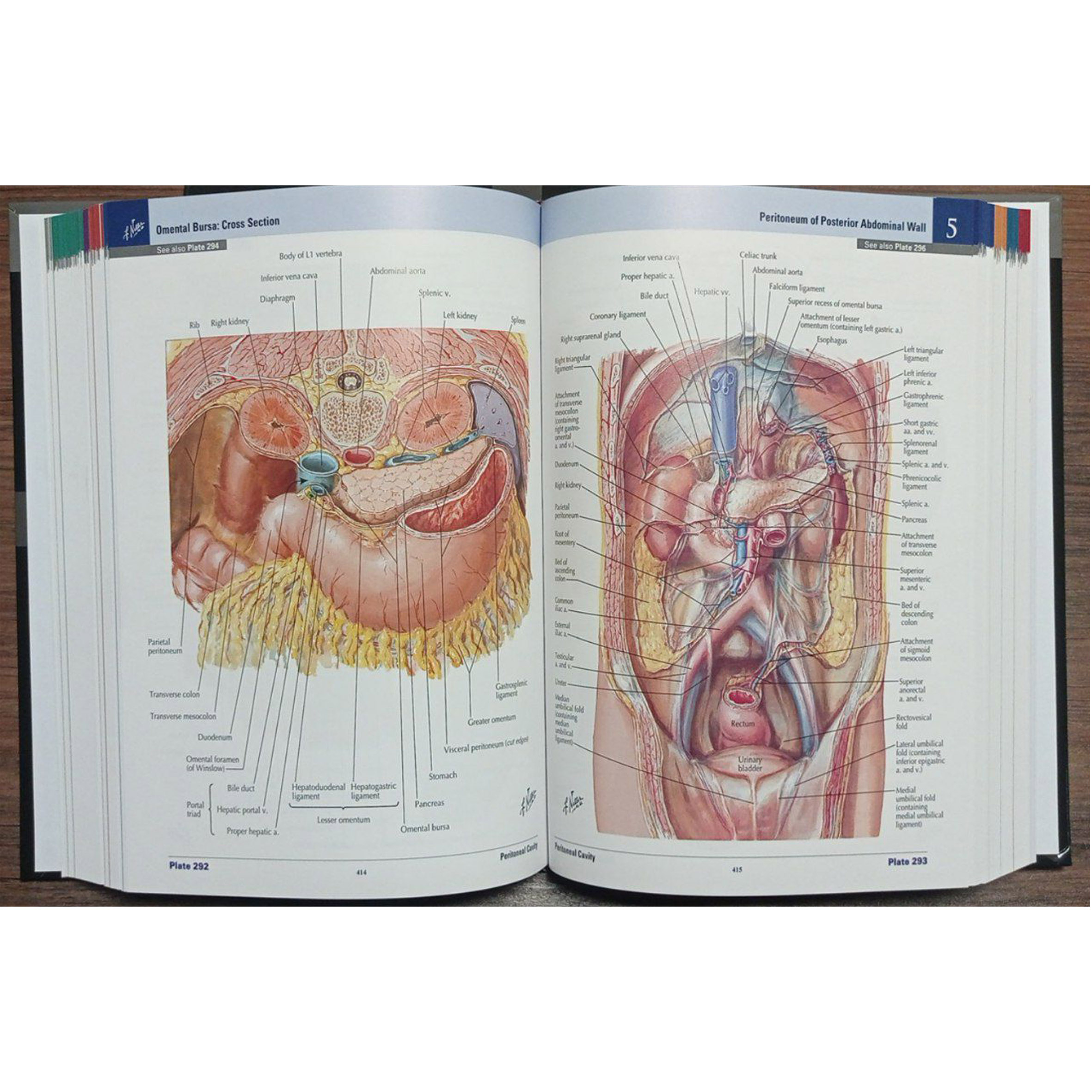 کتاب Netter Atlas of Human Anatomy 8th Edition اثر Frank Netter انتشارات الزویر