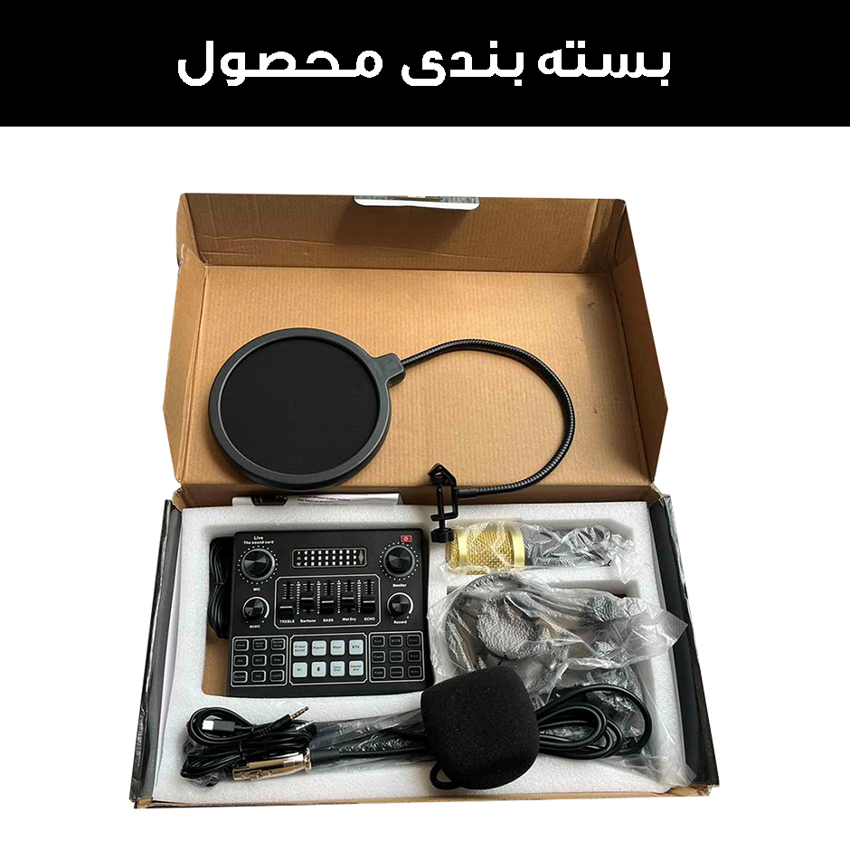 میکروفون استودیویی مدل BM800-V9 به همراه کارت صدا