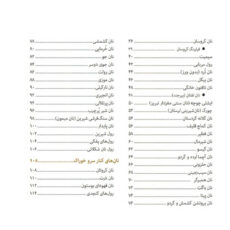 کتاب نان اثر جمعی از نویسندگان انتشارات سانازسانیا