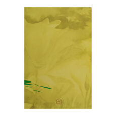 کتاب راز درمان اثر عبداله احمديه انتشارات اقبال 3 جلدی