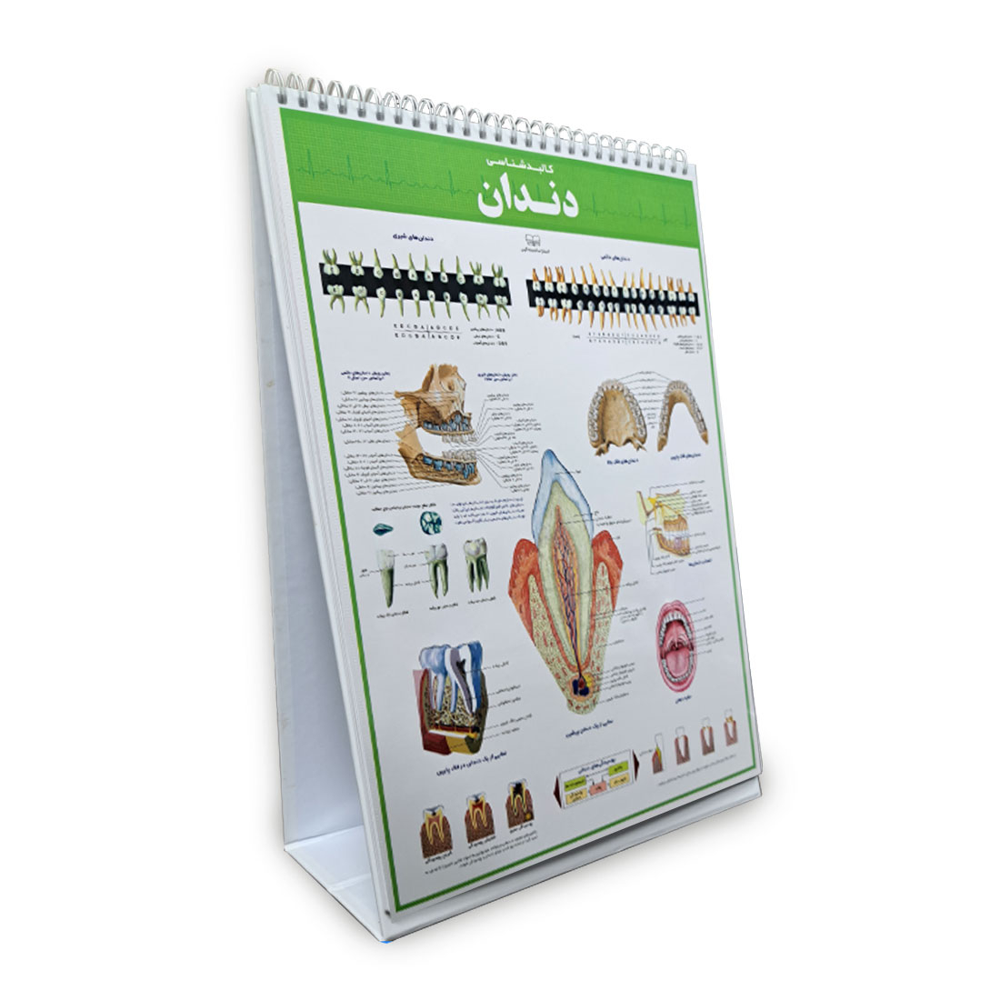 کتاب اطلس کالبدشناسی(آناتومی) بدن انسان اثر حمیدرضا بیات انتشارات اندیشه کهن