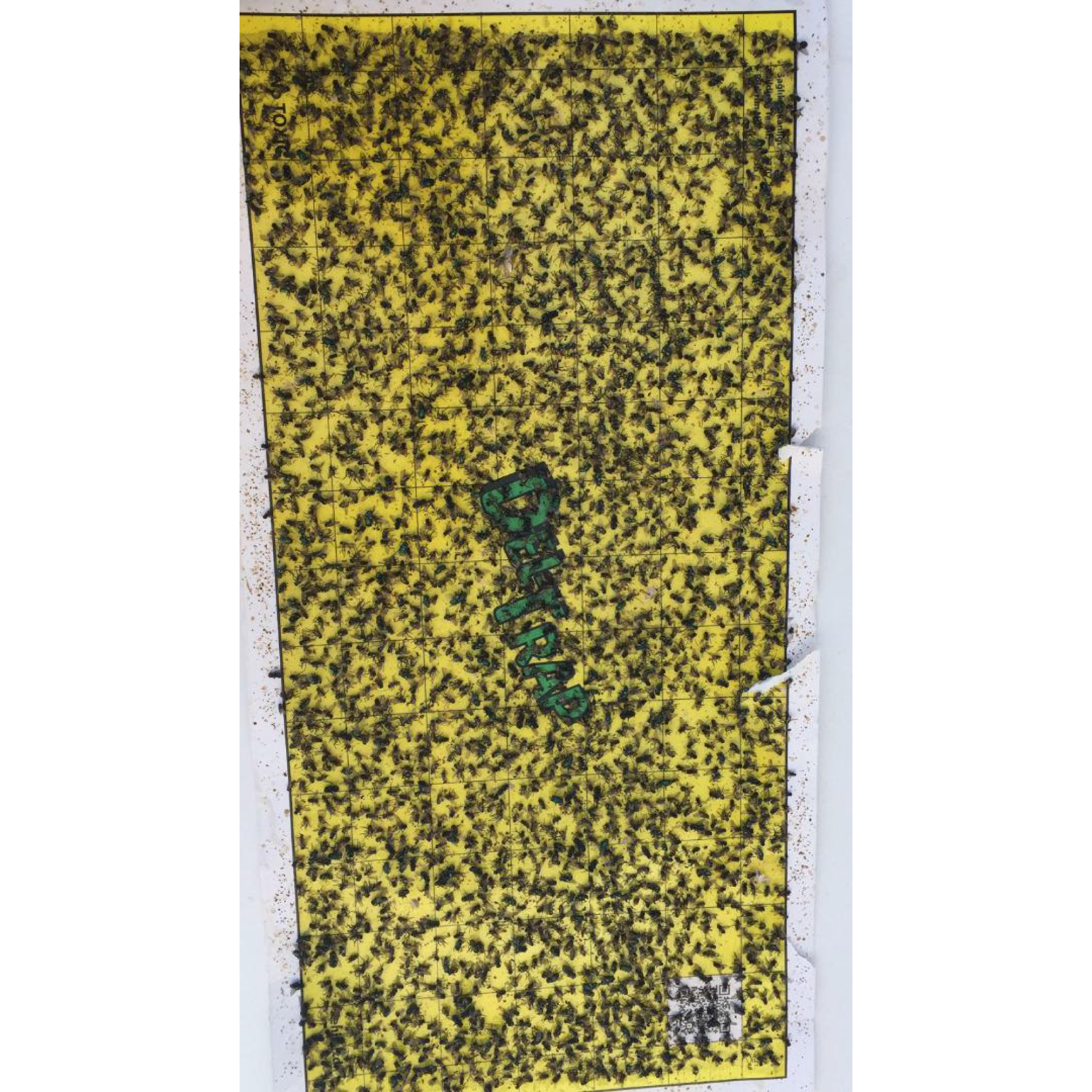 حشره کش برقی دلتا مدل سقفی استیل SS2120