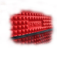 کیف حمل کنسول ps5 طرح RUBY GENESIS مدل FAT PRO