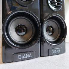 اسپیکر دسکتاپ دیانا مدل D-AC2031
