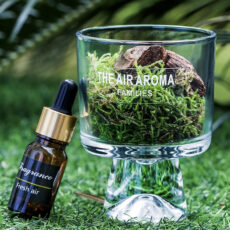 خوشبو کننده مدل خزه رایحه گلی جنگلی حجم ۱۰ میلی لیتر