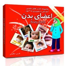 فلش کارت های علمی آموزشی و تصویری دوزبانه 2 تا 10 سال انتشارات امین آذر مجموعه 14 عددی