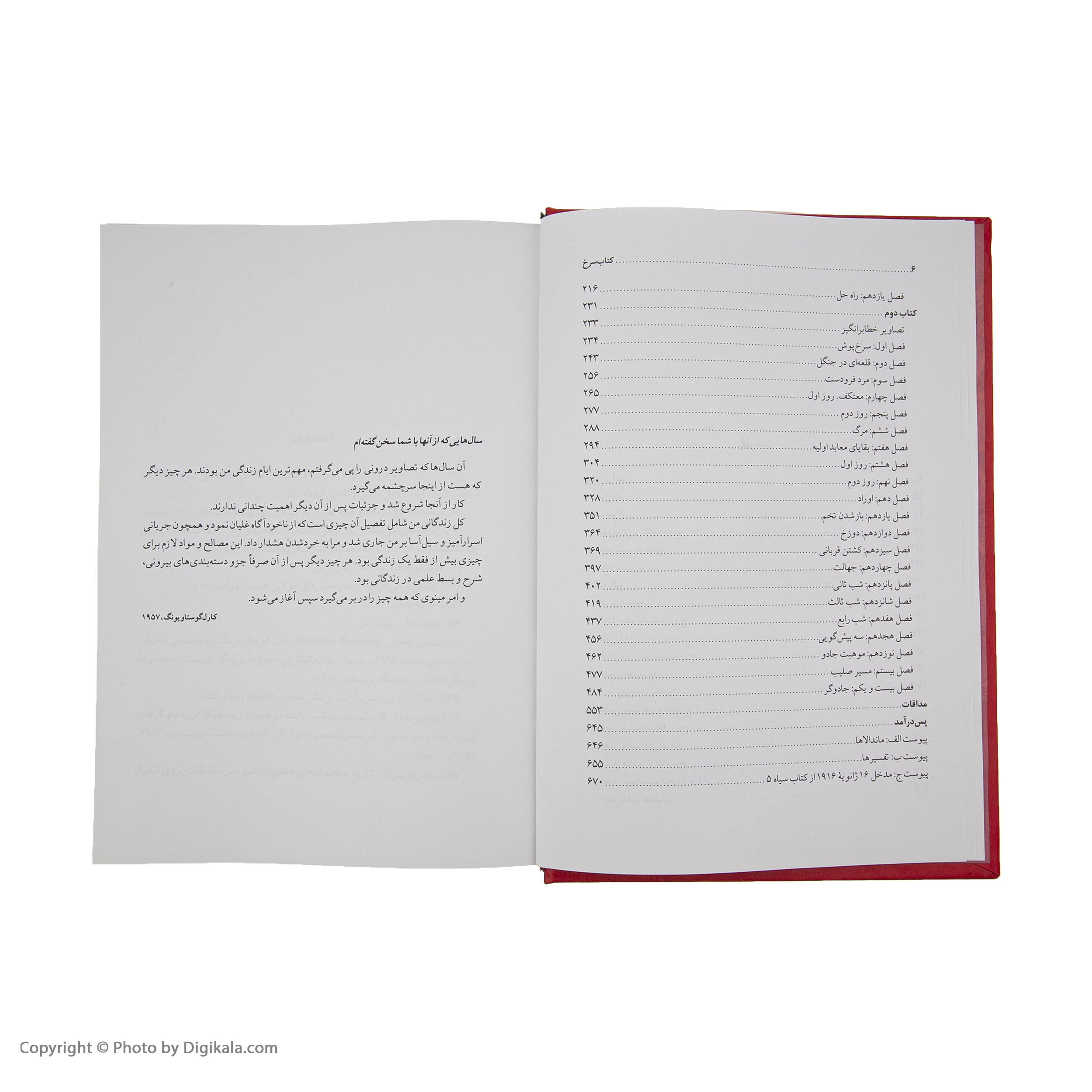 کتاب سرخ اثر کارل گوستاو یونگ انتشارات جامی
