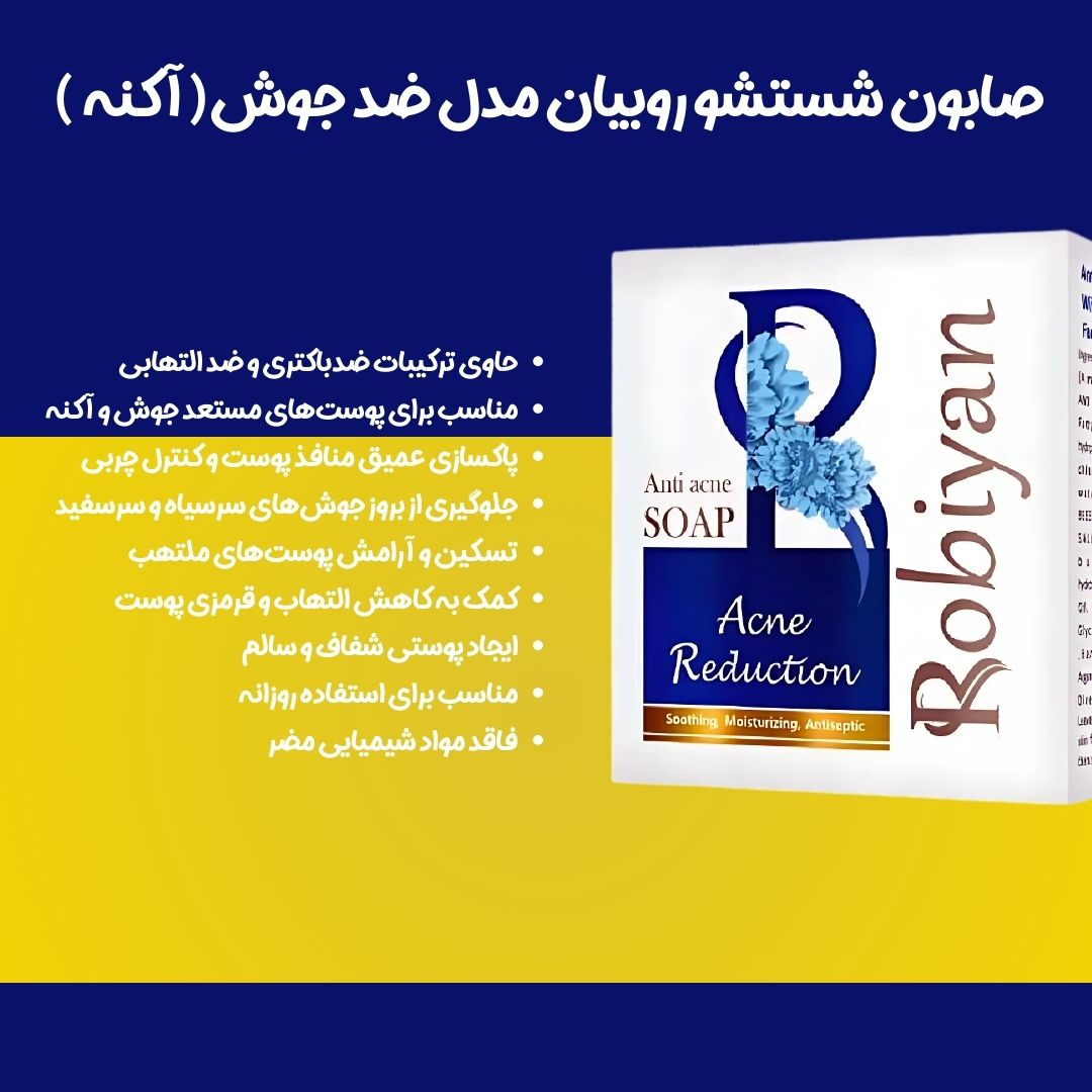 صابون شستشو روبیان مدل ضدجوش وزن 100 گرم مجموعه 12 عددی