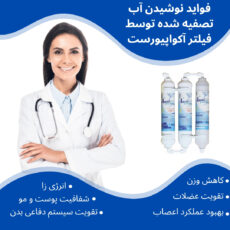 فیلتر تصفیه آب یخچال و فریزر آکوا پیورست مدل K 6100 مجموعه 6 عددی