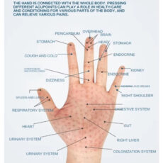 ماساژور برقی دست مدل GB4706
