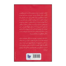 کتاب امریکانا اثر چیماماندا اینگازی آدیچی انتشارات دردانش بهمن