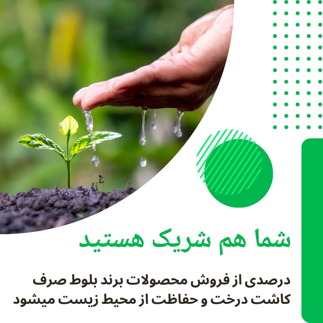 فیلتر تصفیه آب یخچال و فریزر بلوط مدل گیاهی BL 401 مجموعه 4 عددی