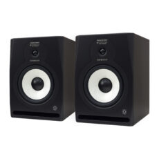 اسپیکر مانیتورینگ پسیو تایفون مدل TY-ARP8 بسته 2عددی